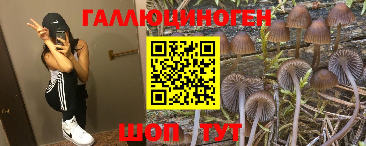 Псилоцибиновые грибы Psilocybe  Псилоцибиновые грибы мухоморы  Вход с VPN  Новороссийск 