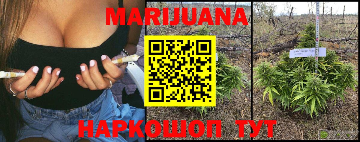 МАРИХУАНА White Widow  Вход с VPN  Новороссийск  Каннабис марихуана  Марихуана планчик  Каннабис Amnesia 
